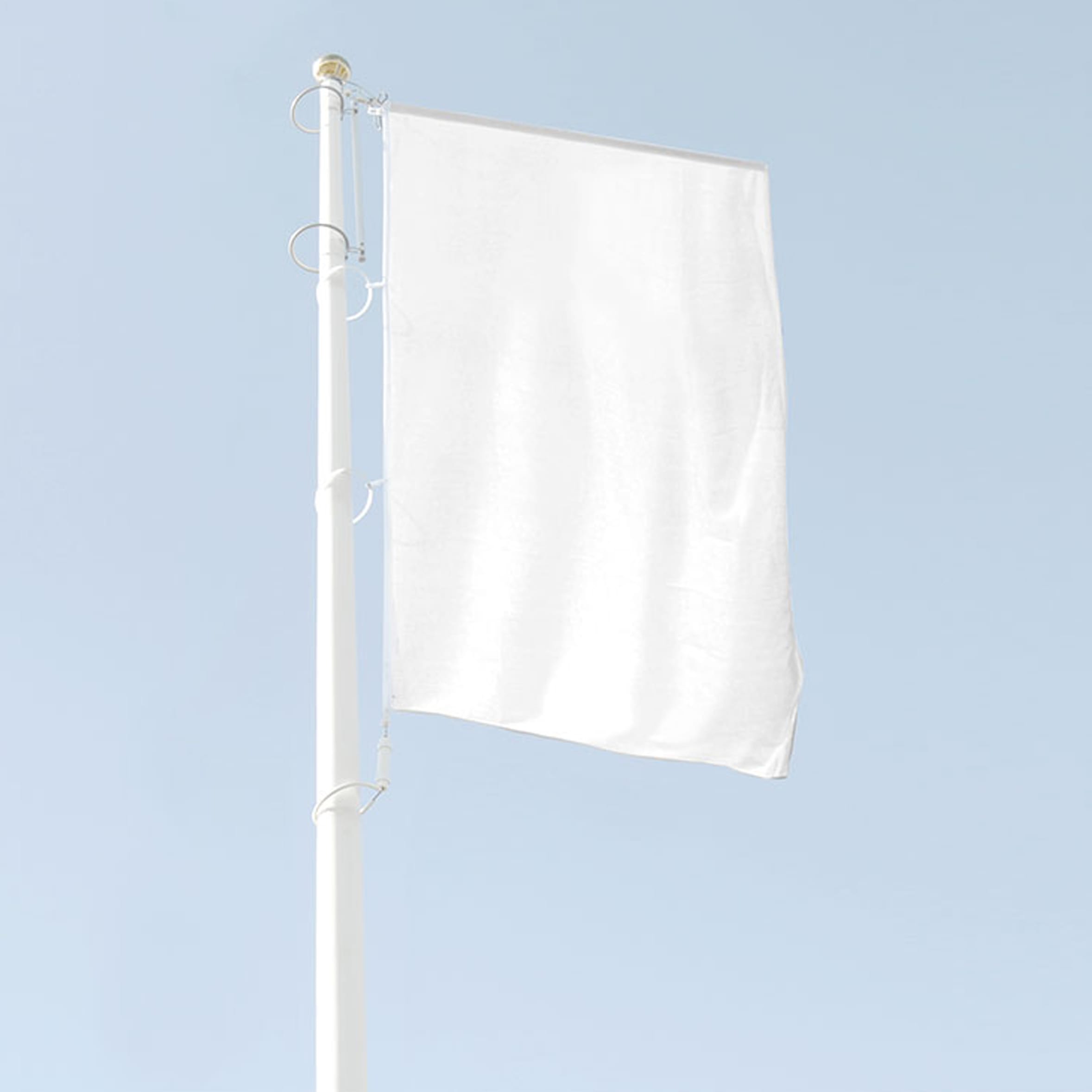 Roto-Top (toppmonterad flaggarm